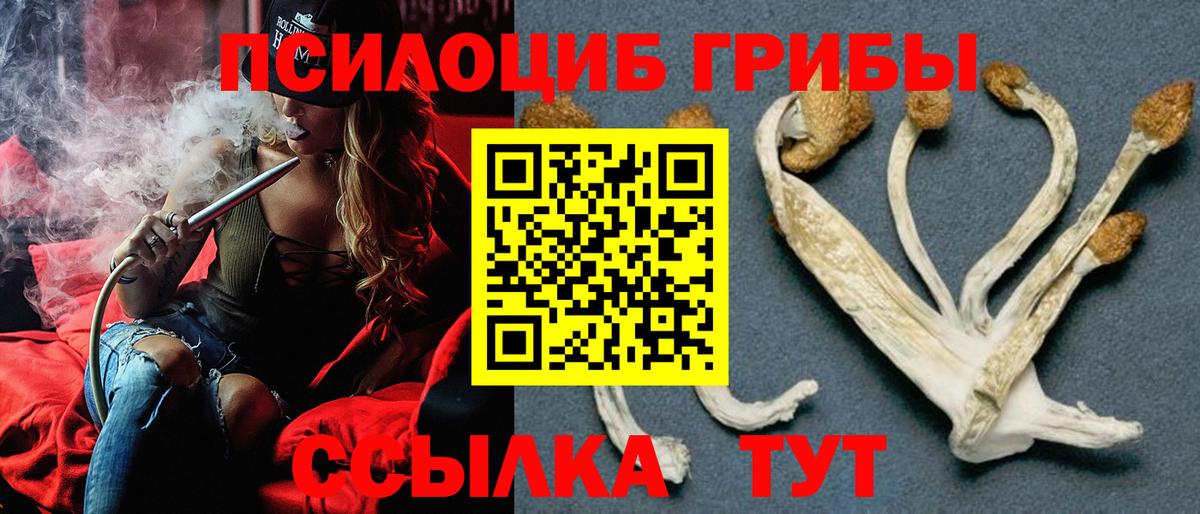 Галлюциногенные грибы GOLDEN TEACHER Ухта