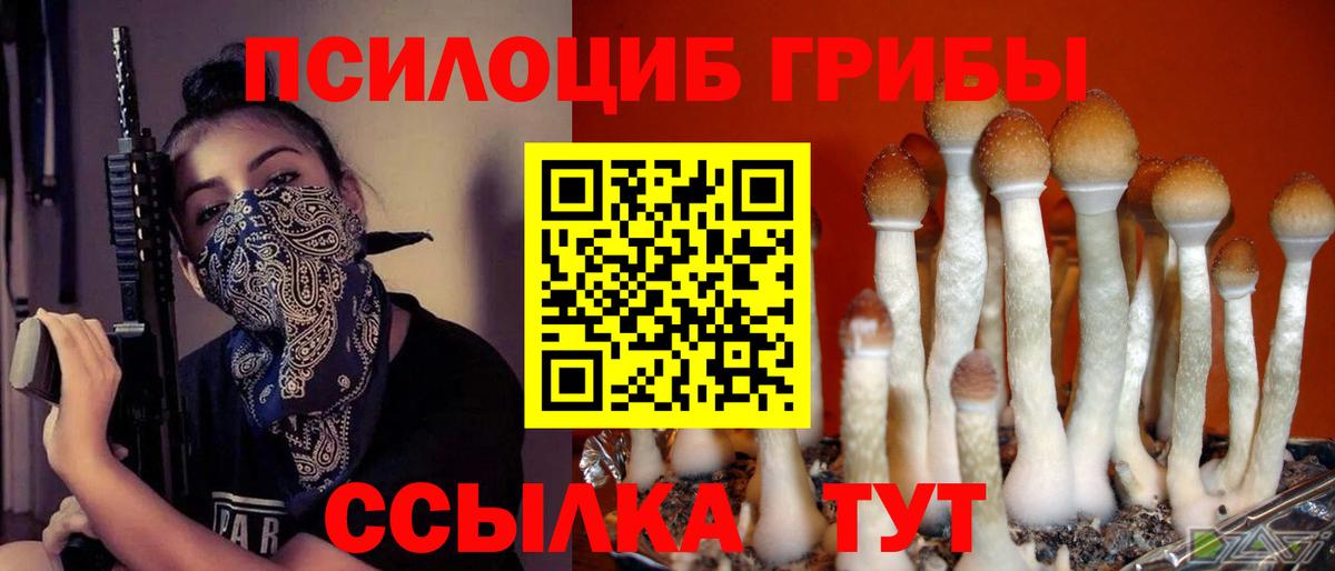 Псилоцибиновые грибы Psilocybe  Вход с VPN  Ухта 
